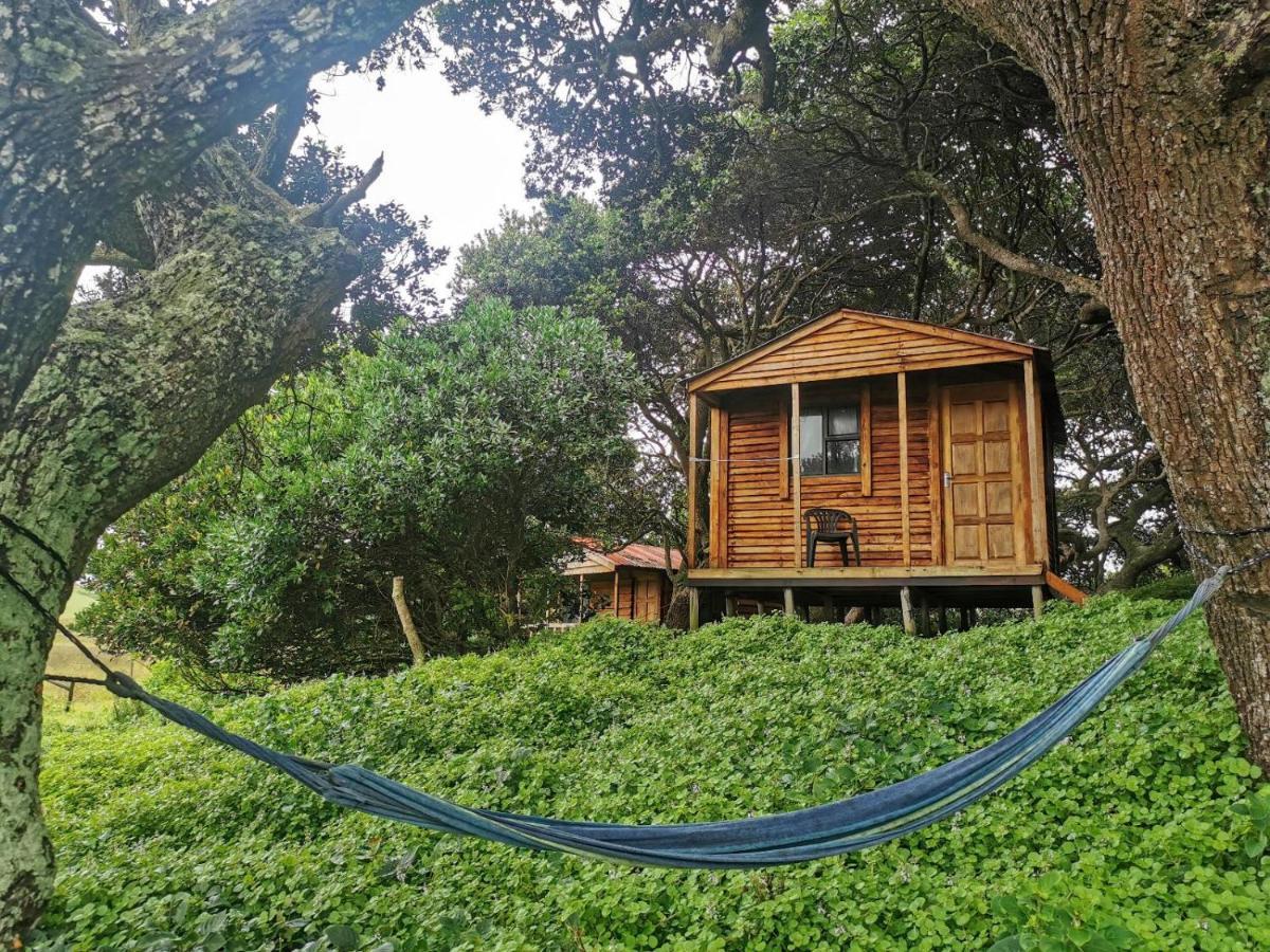 Bulungula Xhosa Community Lodge Δωμάτιο φωτογραφία